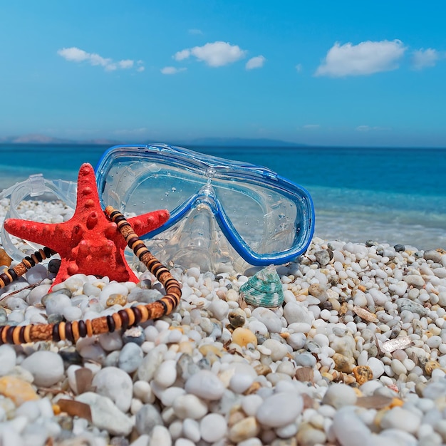 Máscara de mergulho estrela do mar e colar na costa