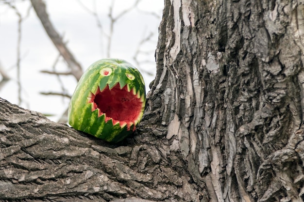 Máscara louca de melancia também conhecida como halloween