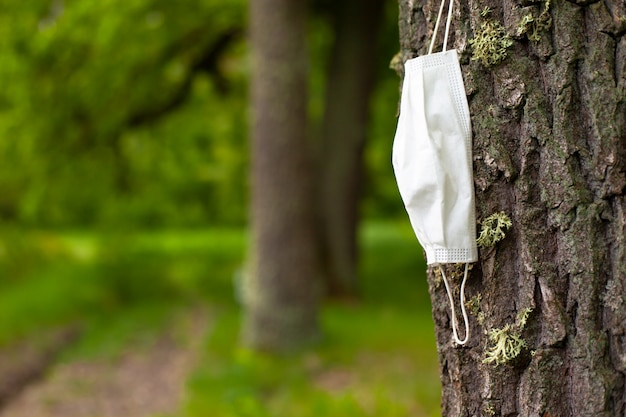 Máscara médica en árbol