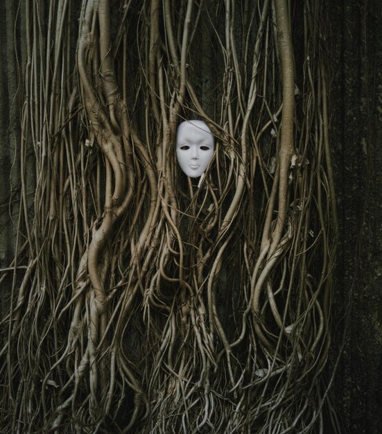 Foto máscara no meio das raízes da árvore