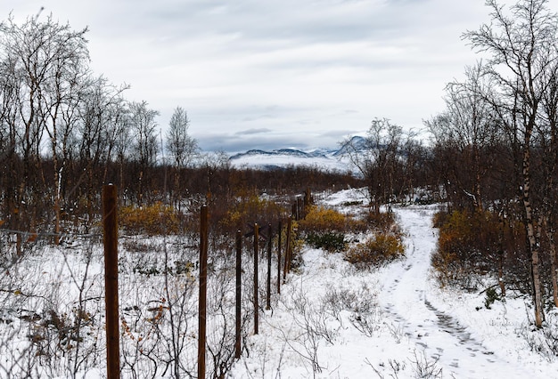 Maschendrahtzaun an der Grenze zwischen Finnland und Schweden