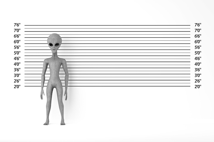 Foto mascota de la persona del personaje de dibujos animados alienígena humanoide gris aterrador frente a la alineación de la policía o al fondo de mugshot representación 3d