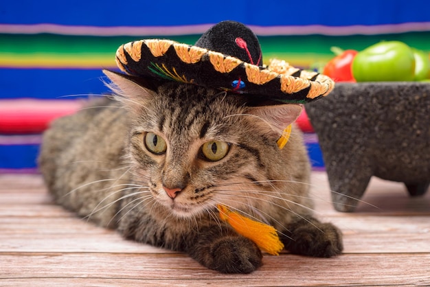 Mascota con sombrero de mariachi mexicano Gato celebrando el Día de la Independencia de México