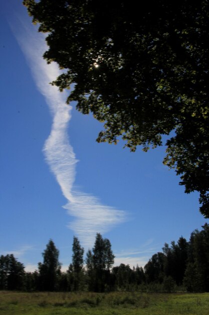 Massive Chemtrails oder Kondensstreifen über blauem Himmelshintergrund