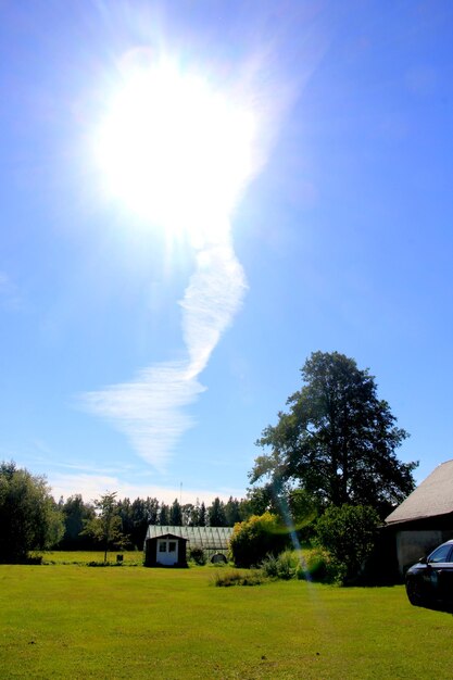 Massive Chemtrails oder Kondensstreifen über blauem Himmelshintergrund