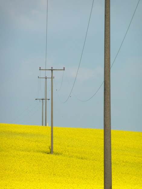 Mastro de eletricidade no campo contra o céu