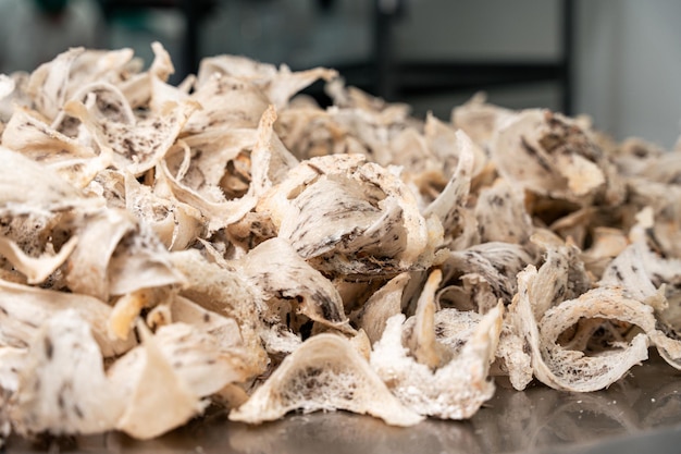 Foto materiais de ninho de aves comestíveis crus para a medicina tradicional chinesa