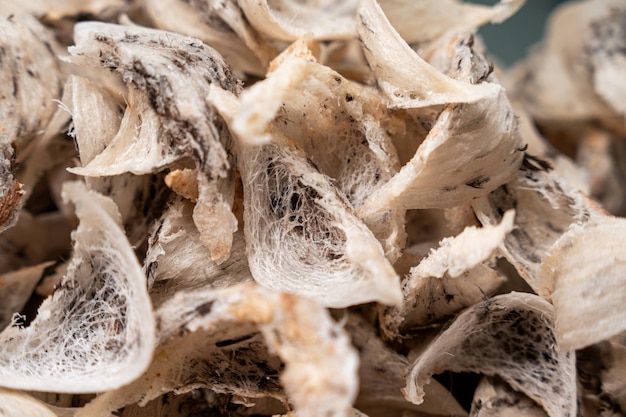Foto materiais de ninho de aves comestíveis crus para a medicina tradicional chinesa