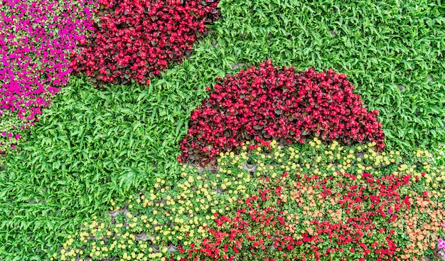 Material de fundo de parede de flores e plantas