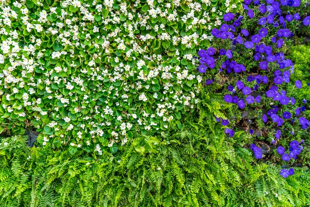 Material de fundo de parede de flores e plantas