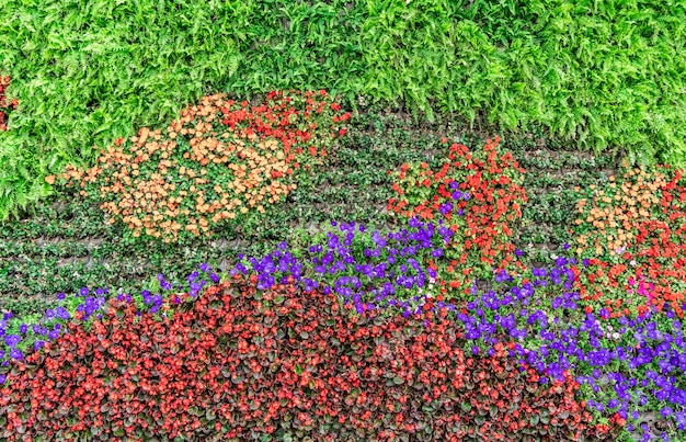 Material de fondo de pared de flores y plantas.