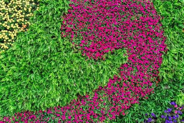 Material de fondo de pared de flores y plantas.