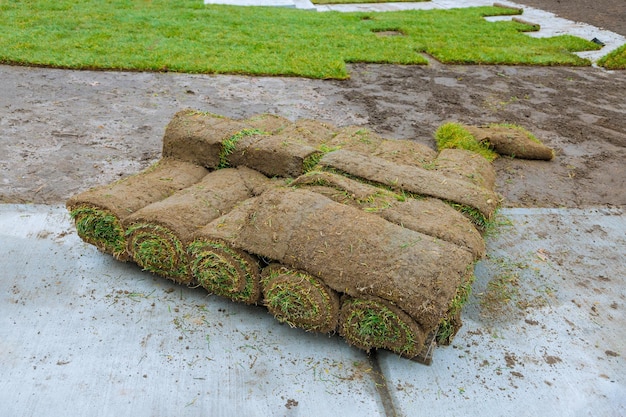 Material für die Landschaftsgestaltung von Territorien mit abrollenden Verlegerollen aus Naturrasen