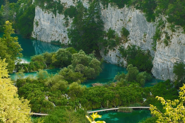 Matorrales en islas rocosas en el lago rodeado de acantilados escarpados