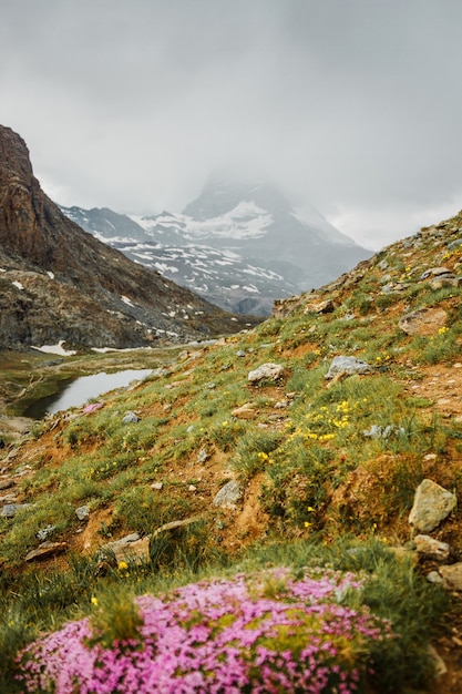 Matterhorn e lago com pedras de grama e flores Zermatt Alpes suíços, caminhadas na Suíça