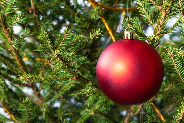 Mattroter Ball auf Zweigen des natürlichen Weihnachtsbaums