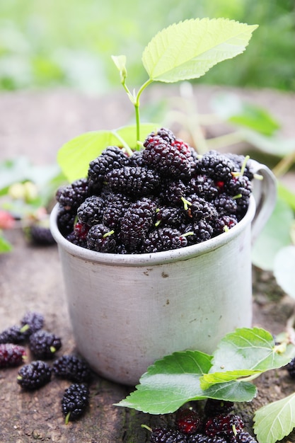 Maulbeeren im Metallbecher