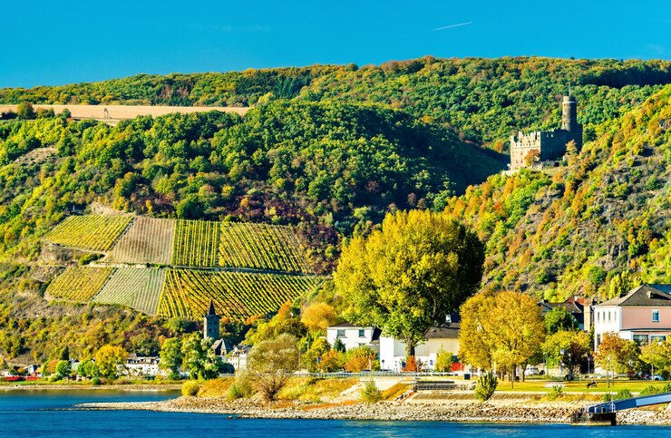 Foto maus-schloss über dem dorf wellmich im mittelrheintal deutschland