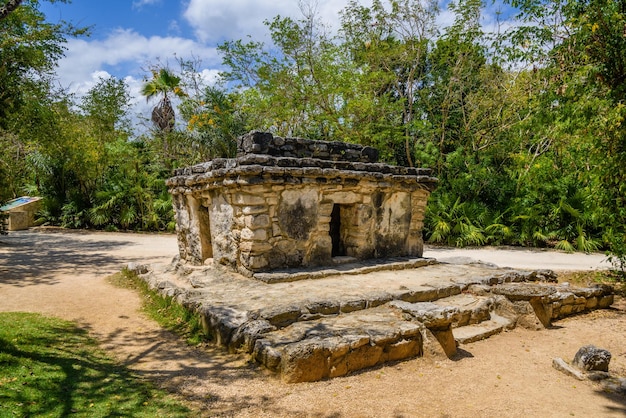 Maya-Ruinen im Schatten der Bäume im tropischen Dschungelwald Playa del Carmen Riviera Maya Yu atan Mexiko