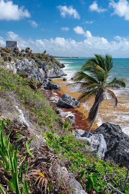 Foto maya-ruinen in tulum