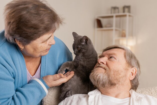 Los mayores cuidan gatos y los disfrutan en casa