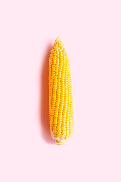 Mazorca de maíz pelada sobre fondo rosa.Vista superior. Foto vertical