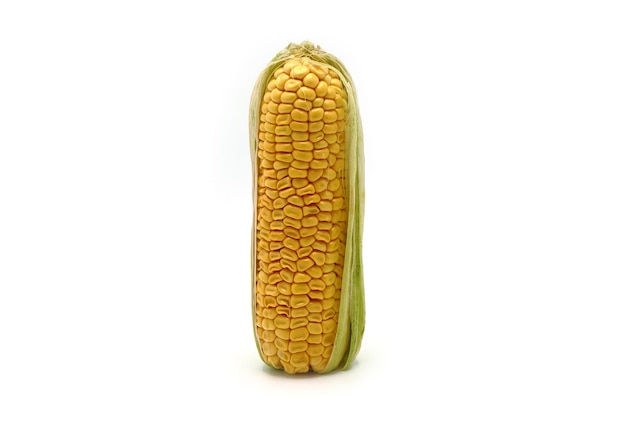 Mazorca de maíz sobre un fondo claro Producto natural Estructura natural Color natural Primer plano