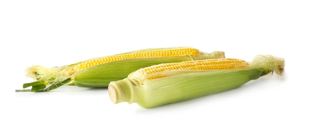 Mazorcas de maíz fresco aislado en blanco