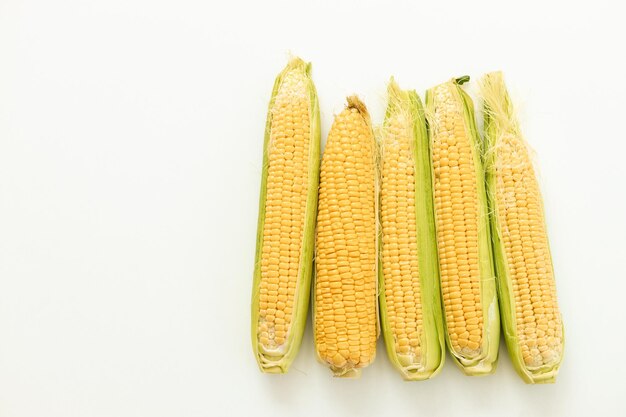 Mazorcas de maíz o mazorcas de maíz aislado sobre fondo blanco.