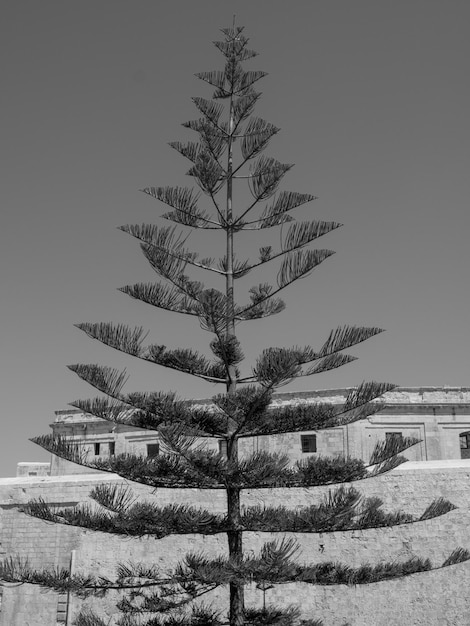 Mdina en la isla de Malta