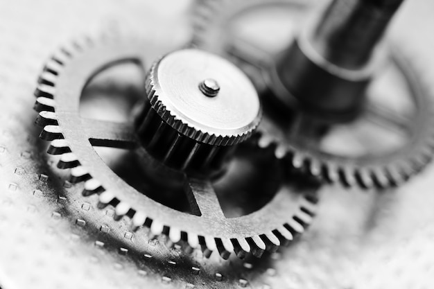 Mecanismo de reloj, fotografía en blanco y negro