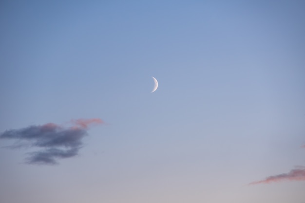 Media luna de la mañana en el cielo rosa con nubes, hora azul. Sueña con un cielo nocturno mágico con luna y nubes. Fondo de cielo natural para tus fotos