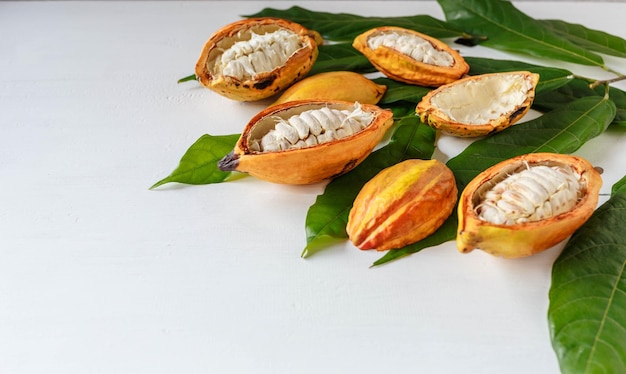 Medias vainas de cacao y fruta de cacao con hoja de cacao sobre fondo blanco de madera