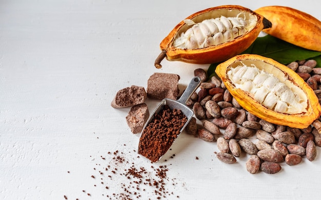 Foto medias vainas de cacao con frutos de cacao y polvo de cacao marrón