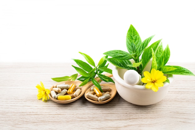 Medicina alternativa à base de plantas, vitaminas e suplementos de cápsulas naturais