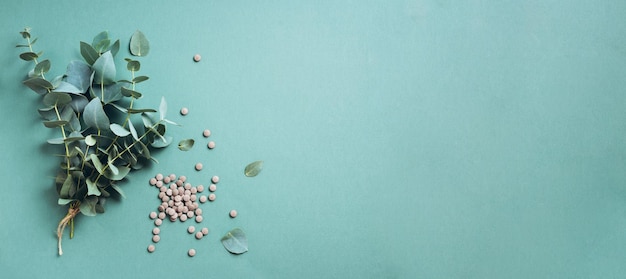 Medicina alternativa hojas de eucalipto verde y pastillas sobre fondo verde Desintoxicación y concepto de limpieza antiparasitaria