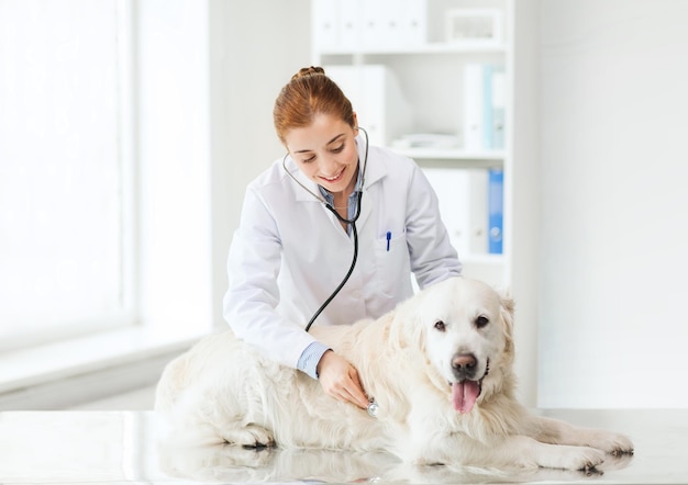 medicina, animal de estimação, animais, cuidados de saúde e conceito de pessoas - feliz veterinário ou médico com estetoscópio verificando cachorro golden retriever na clínica veterinária