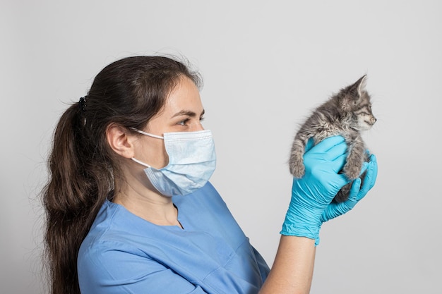 Un médico para animales con uniforme médico y guantes sostiene a un pequeño gatito.