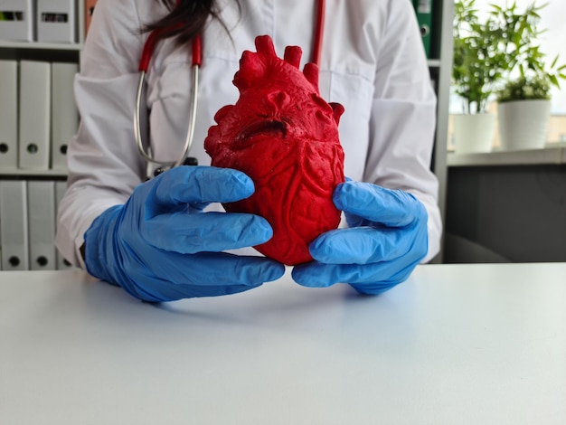 Foto el médico cardiólogo tiene el diseño de la anatomía del corazón en cardiología.