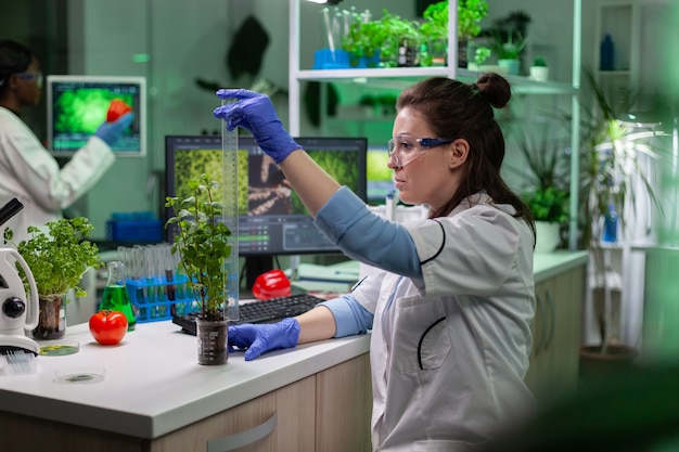 Médico cientista bioquímico medindo mudas verdes usando régua analisando plantas geneticamente modificadas durante experimento de botânica. Equipe multiétnica de cientistas trabalhando no laboratório de um hospital biológico