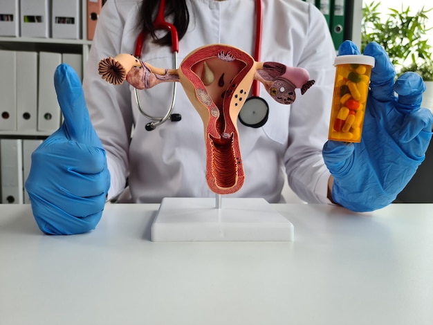 Foto médico com órgão genital feminino anatômico e pílulas anticoncepcionais