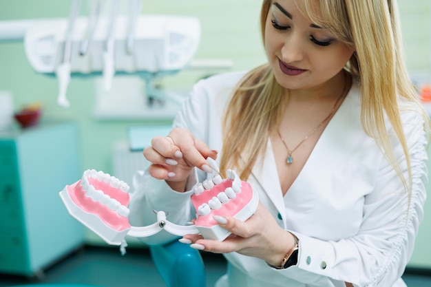 Médico dentista bem-sucedido segura nas mãos e olha para a amostra plástica da mandíbula Um dentista de jaleco branco fica em seu consultório odontológico
