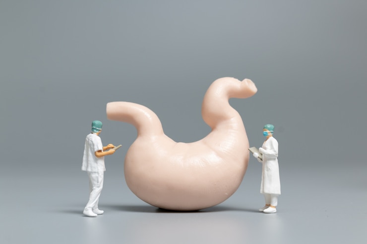 Foto médico e enfermeira em miniatura observando e discutindo sobre o estômago humano, ciência e concepção médica