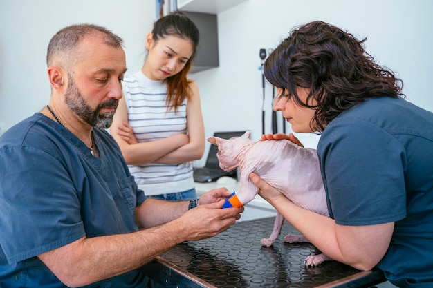 Médico y enfermera cuidando a un animal herido con una pata rota.