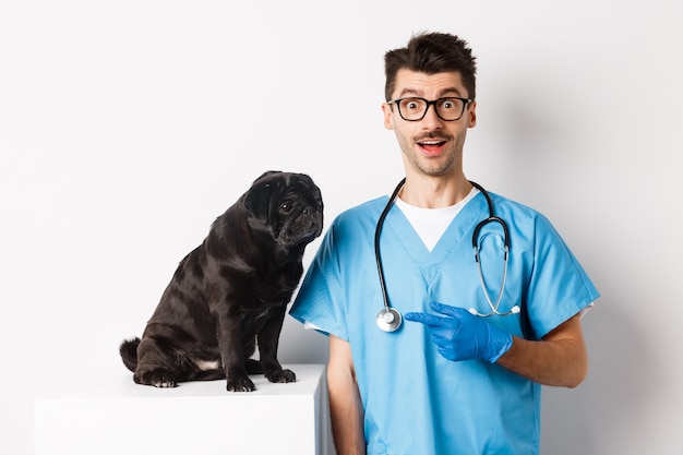 Médico espantado, olhando para a câmera, veterinário masculino apontando o dedo para o cão pug preto bonito na mesa de exame, branca.