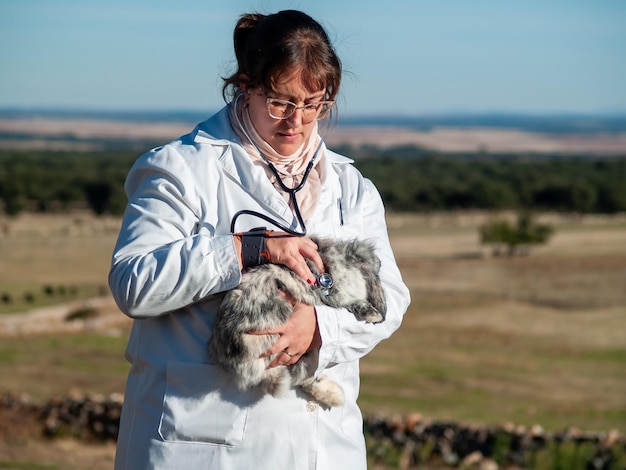 El médico examina al conejo mientras está de pie en el campo contra el cielo