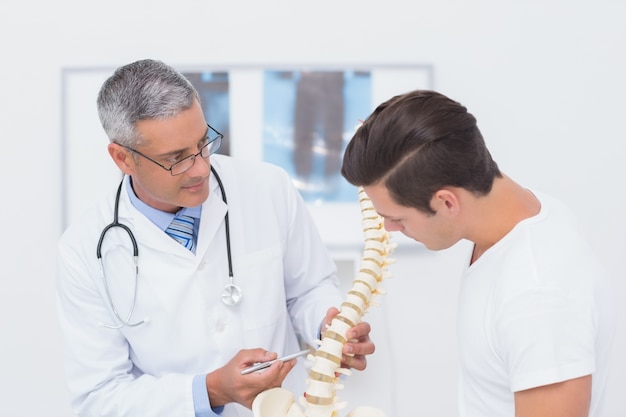 Médico explicando la columna vertebral anatómica a su paciente