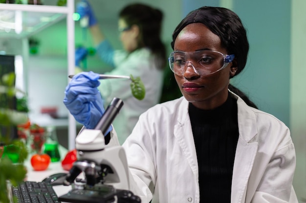 Médico investigador afroamericano con muestra de hoja verde trabajando en el experimento de medicina en el laboratorio del hospital de bioquímica. Mujer científico biólogo analizando plantas modificadas genéticamente