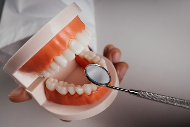 Médico mantém modelo ortodôntico de dentes e atendimento odontológico de espelho dental