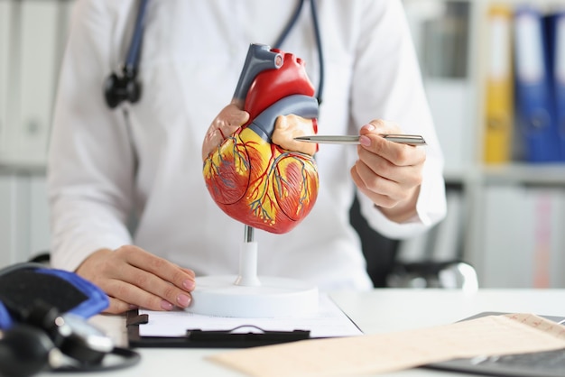 Foto el médico muestra un modelo de plástico al corazón del ventrículo un borroso